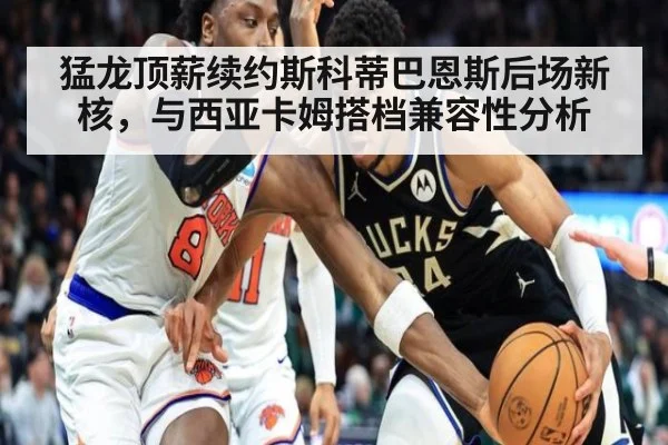 猛龙顶薪续约斯科蒂巴恩斯后场新核，与西亚卡姆搭档兼容性分析